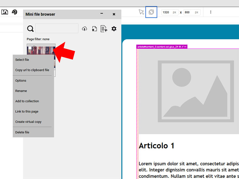 Mini file browser men&ugrave; file